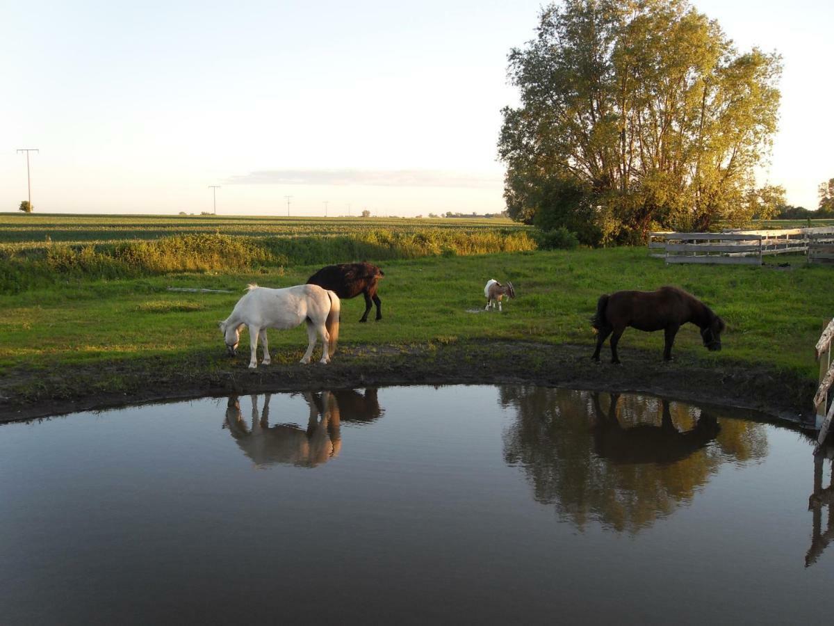 Horse Lake Ranch Neuendorf  Εξωτερικό φωτογραφία